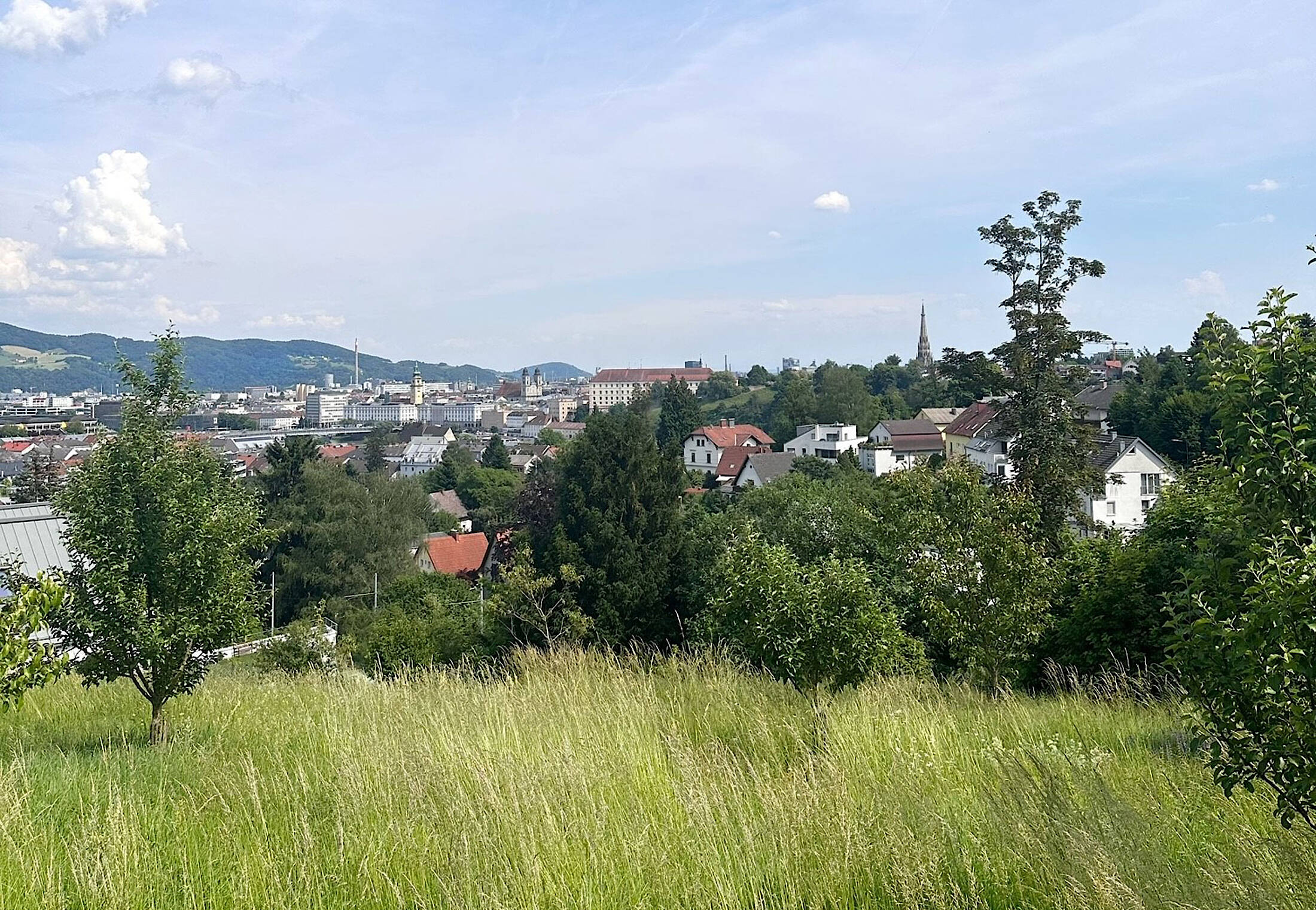 Blick auf Linz von der Bruckneruni.
