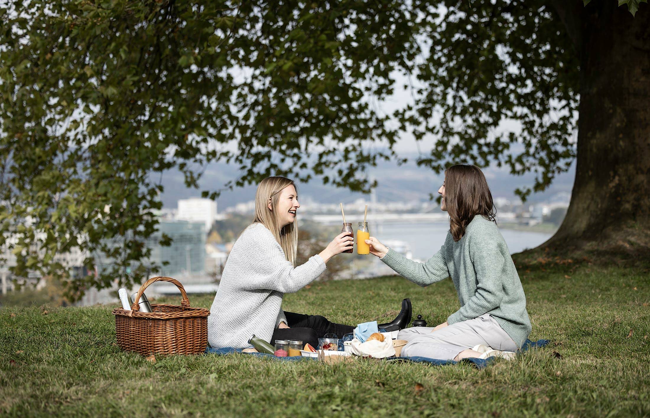 Anstoßen beim Picknick am Schlossberg